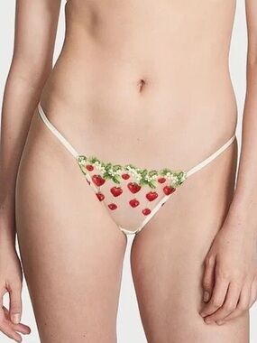 NWT Victoria's Secret Dream Angels Strawberry Embroidery Cheekini Panty Size M